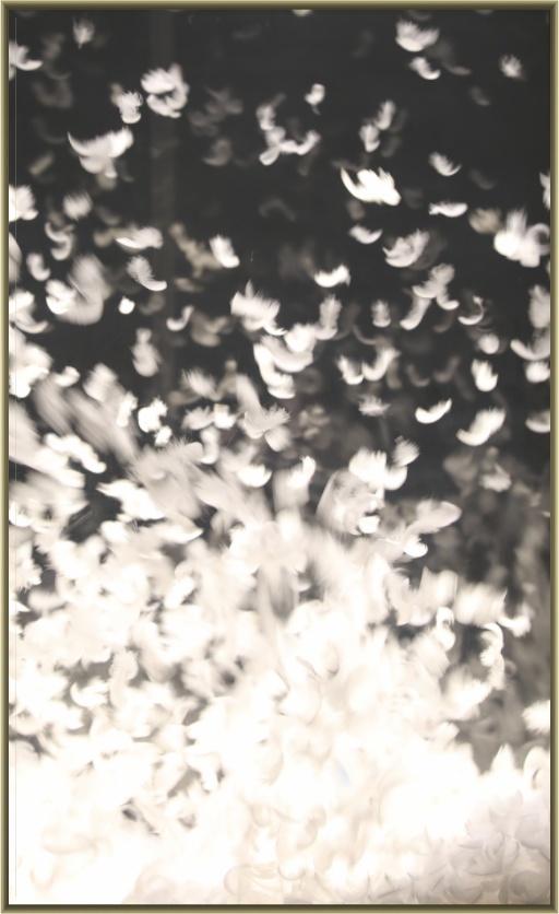 Main image ETHEREAL